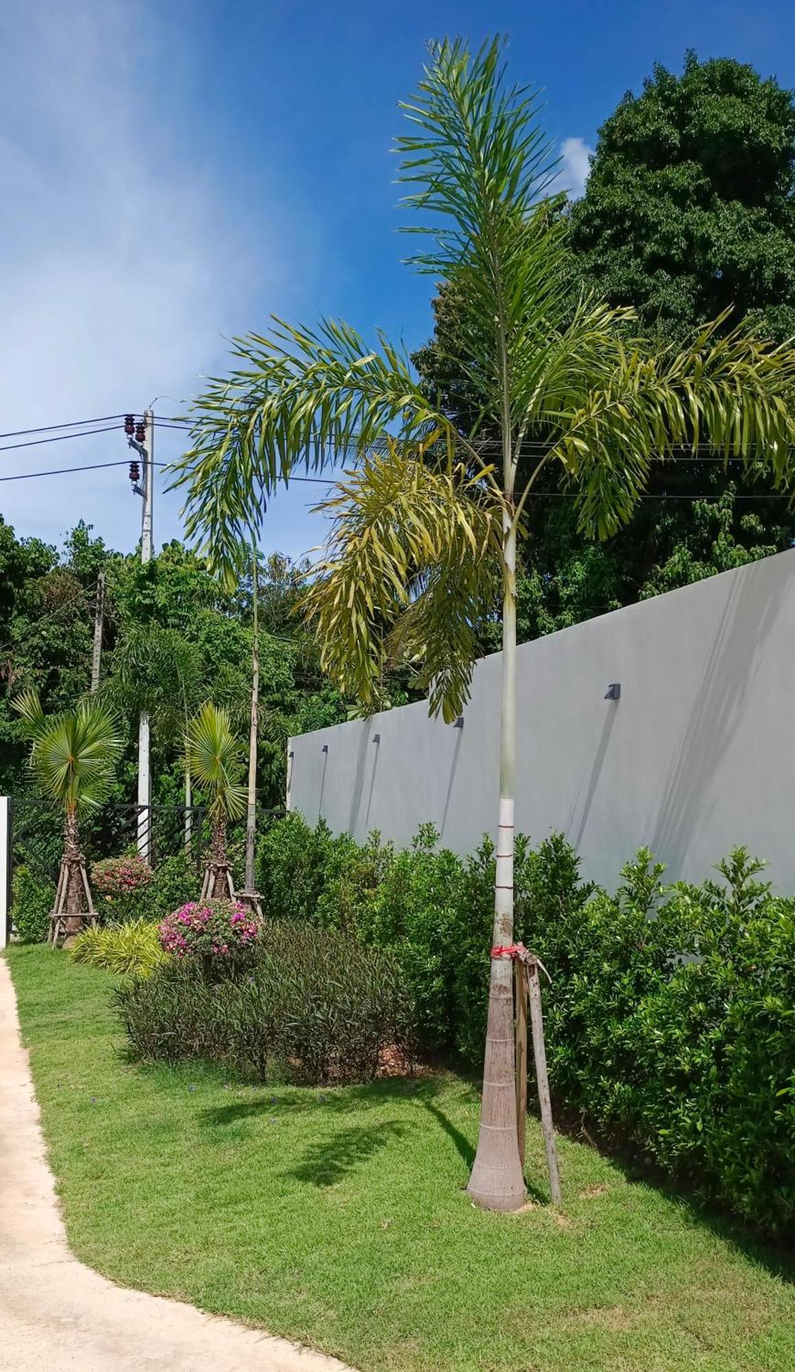 Jasmine Pool Villa, Bangrak, Bo Phut Fisherman'S Village Exterior photo